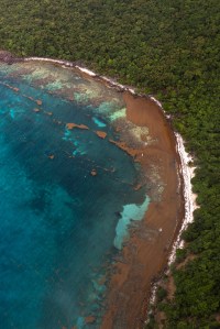 A photo from an aircraft looks down at the variegated blues and teals, of the ocean on the left as it meets a curved stretch of dark green forested coastline on the right. Where the water meets the coast is a stretch of brown.