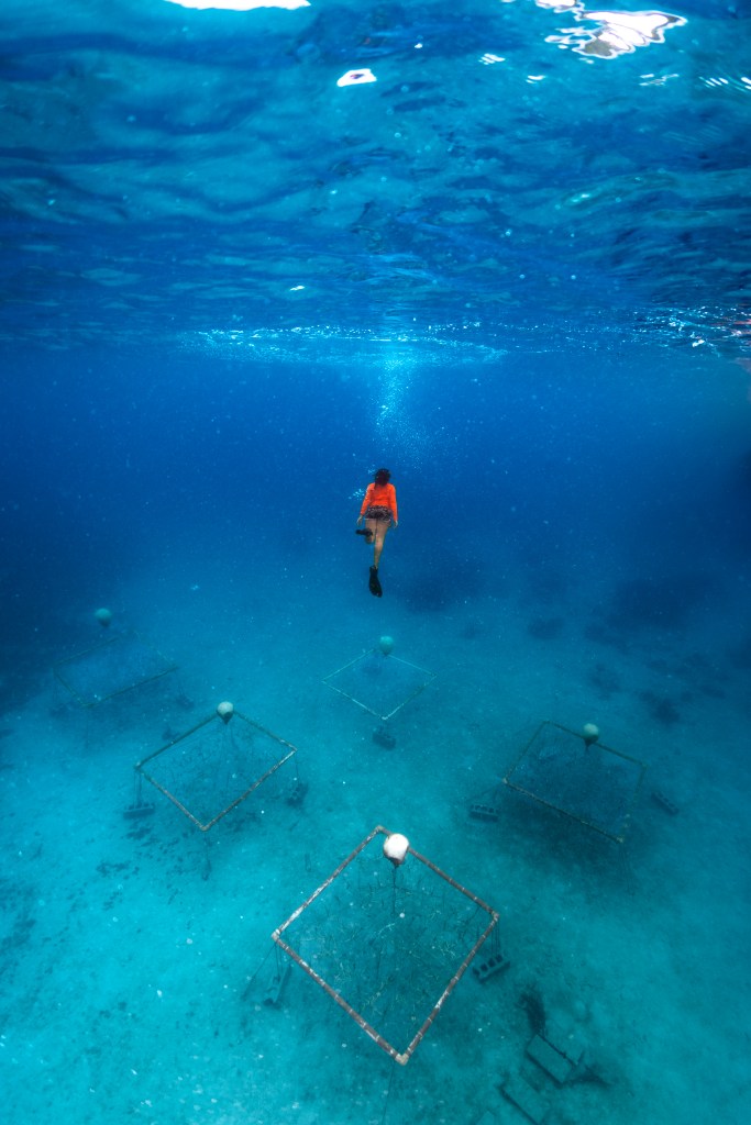 In this underwater shot, a girl in a neon orange long sleeve shirt and black flippers ascends from the ocean floor towards the surface, releasing bubbles straight up. On the ocean floor, five square frames made of PVC are attached to the ground, with a single white balloon pulling them up.