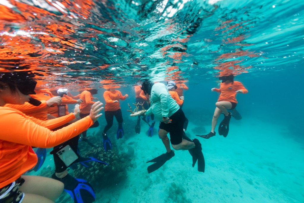 In this underwater shot, a man in a teal long sleeve shirt holds a chunk of coral out towards a group of students in neon orange long sleeve shirts, all in flippers. The water and the ocean floor are teal.