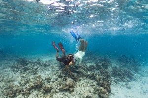 In this underwater shot a couple wearing wetsuits, snorkels, and fins pose together towards the ocean floor. On the left is a man, parallel to the seafloor. On the right is a woman turned sideways, perpendicular to the seafloor. The water is bright blue.