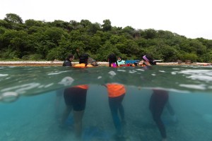 In this split shot, half of the frame is below the surface of the water and the other half above. In the middle of the frame, a group of women stand on the seafloor, visible both above and below the surface. In the distance is a thin tan line of beach and a dark green forest.