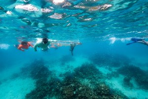 In this underwater image, a group of swimmers in snorkel gear swim along the surface of the water, dragging a white PVC frame. The water is teal blue, and the seafloor below is covered in dark brown rocks.