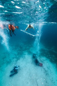 In this underwater image, a man in a teal long sleeve and snorkel holds the edge of a square frame made of PVC near the surface. On the sandy seafloor, three people in scuba diving gear hold rope attached to the corners of the frame.