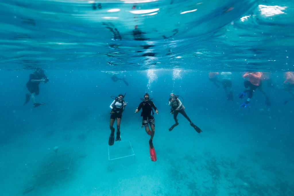 In this underwater image, three people in scuba diving gear float halfway between the seafloor and the ocean surface, looking at the camera. The water is bright blue.