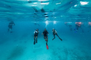 In this underwater image, three people in scuba diving gear float halfway between the seafloor and the ocean surface, looking at the camera. The water is bright blue.