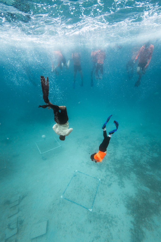 In this underwater image, two people in snorkel gear dive down towards the sea floor from the surface. On the sandy sea floor are two square PVC frames. In the background of blue water is the hazy shapes of snorkelers swimming along the water's surface.
