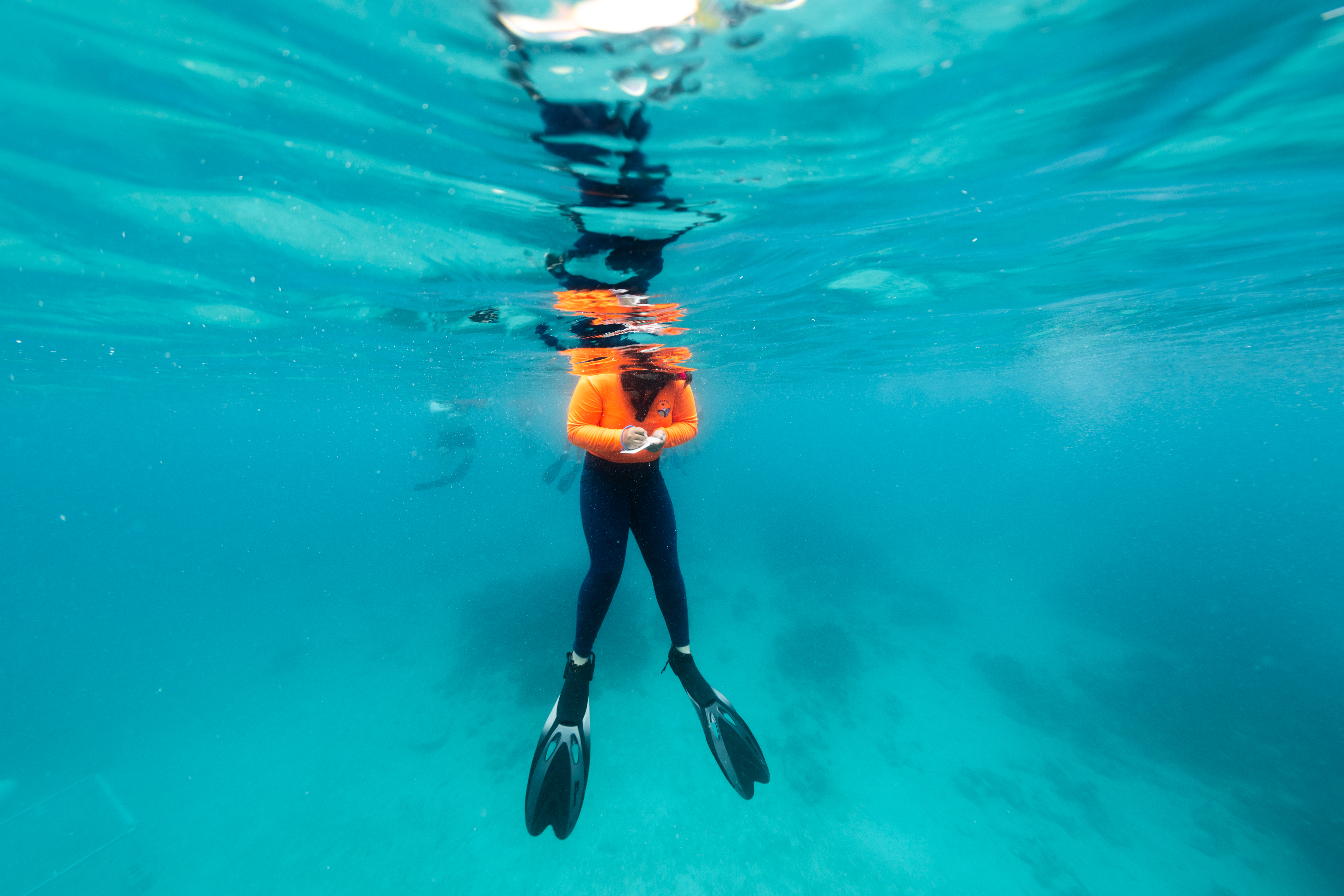 In this underwater image, a student in a neon orange long sleeve shirt, black leggings, fins, and a snorkel floats at the surface of the water, looking down at her hands as she writes notes on a thin plaque. The water all around her is bright blue.