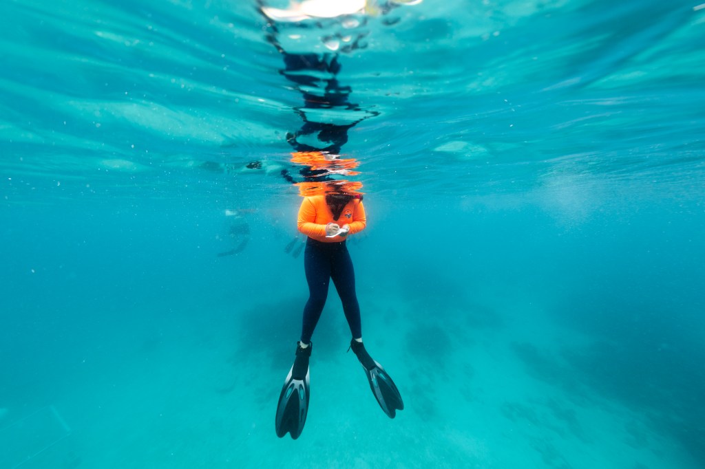In this underwater image, a student in a neon orange long sleeve shirt, black leggings, fins, and a snorkel floats at the surface of the water, looking down at her hands as she writes notes on a thin plaque. The water all around her is bright blue.