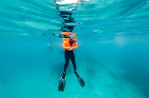 In this underwater image, a student in a neon orange long sleeve shirt, black leggings, fins, and a snorkel floats at the surface of the water, looking down at her hands as she writes notes on a thin plaque. The water all around her is bright blue.