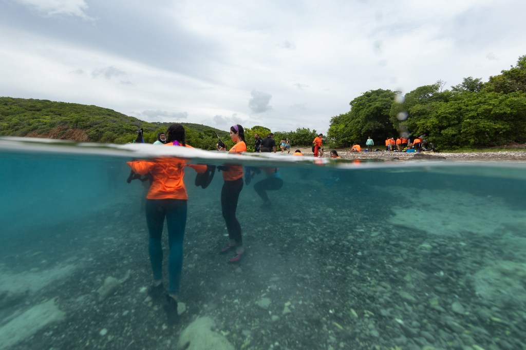 In this split shot, half of the frame is below the surface of the water and the other half above. In the middle of the frame, a group of students stand on the seafloor, visible both above and below the surface. In the distance is a thin tan line of beach and a dark green forest, with a line of students in bright orange long sleeve shirts standing on the shoreline.