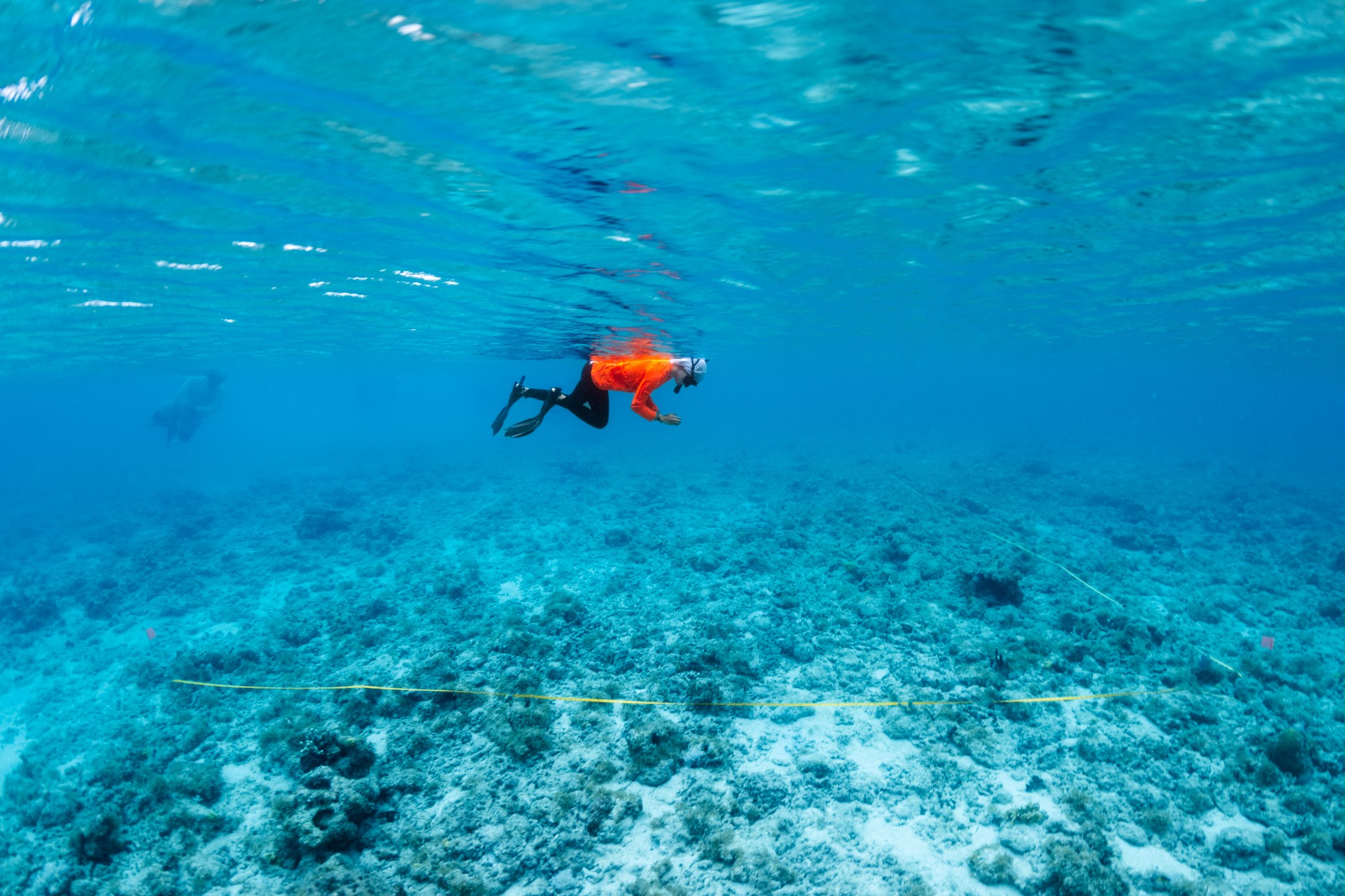In this underwater image, a student in a neon orange long sleeve shirt, black leggings, white head covering, fins, and a snorkel floats with her back to the surface of the water, pointing a small camera straight down toward the sea floor below. Along the ground is chunks of rock and coral, with a portion of it sectioned out with a yellow stripe.