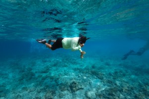 In this underwater image, a man in a teal long sleeve shirt, black shorts, fins and a snorkel swims along the surface of the water, holding a piece of coral in his hand. The water, the ocean's surface, and the sea floor are all bright blue.