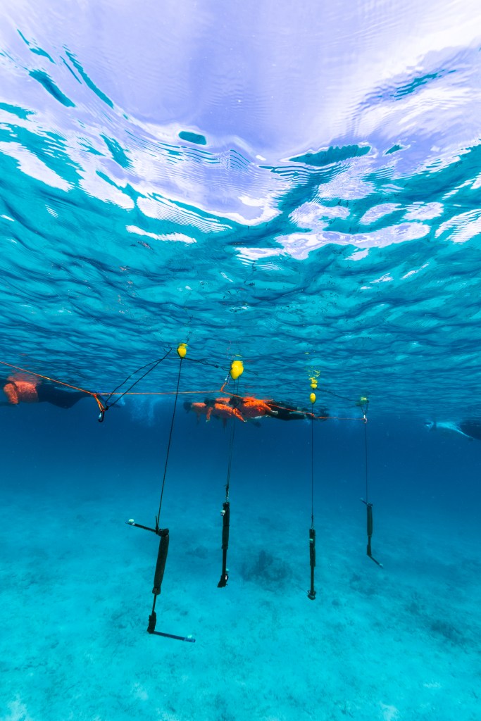 In this underwater image, a line of students a ways from the camera swim along the surface of the water, wearing neon orange long sleeves, fins, and snorkels. In the foreground, black Z-shaped instruments dangle down from a small yellow floatation buoy at the surface. The photo is majority bright blue: the surface, the water, and the sea floor.