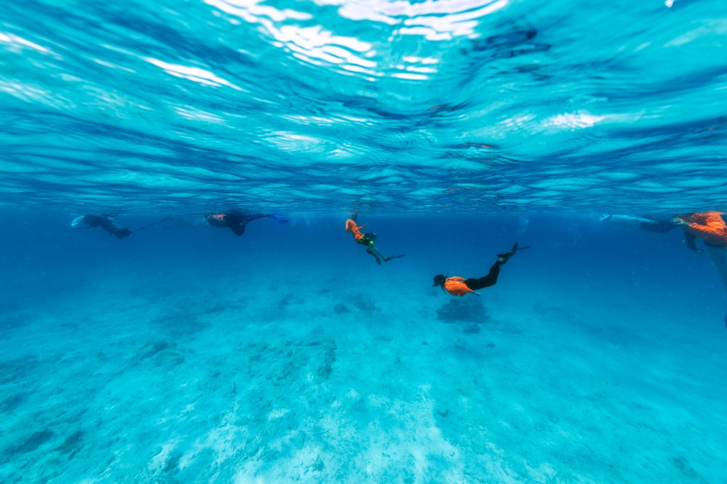 In this underwater image, a line of students a ways from the camera swim along the surface of the water, wearing neon orange long sleeves, fins, and snorkels. The photo is majority bright blue: the surface, the water, and the sea floor.