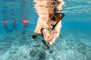In this underwater shot, a man in a pale yellow long-sleeve shirt, fins, and snorkel hovers just beneath the surface, holding his cupped hand out towards the camera. In his hand is an open clamshell with what looks like a starfish with long spindly legs inside. In the background is blue water with a rocky seafloor, and the vague outline of a few other swimmers.