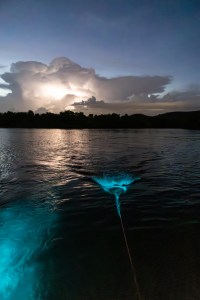 A small circular net on a rope drags a few inches underwater, glowing bright blue. A streak of the same bright blue glows in the lower left corner, and lightning lights up the clouds in the distance.