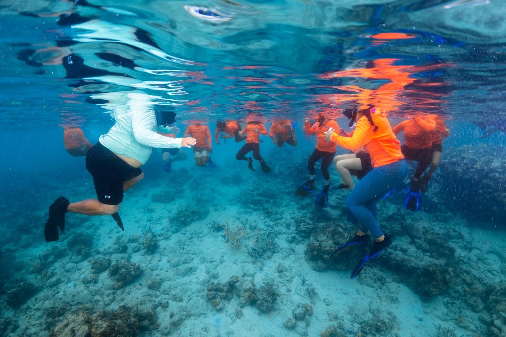 In this underwater shot, a man in a teal long sleeve shirt faces a group of students in neon orange long sleeve shirts, all in flippers. The water and the ocean floor are teal.