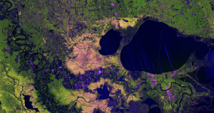 NASA-ISRO Radar Mission Peers Through Clouds to See Mississippi River Delta