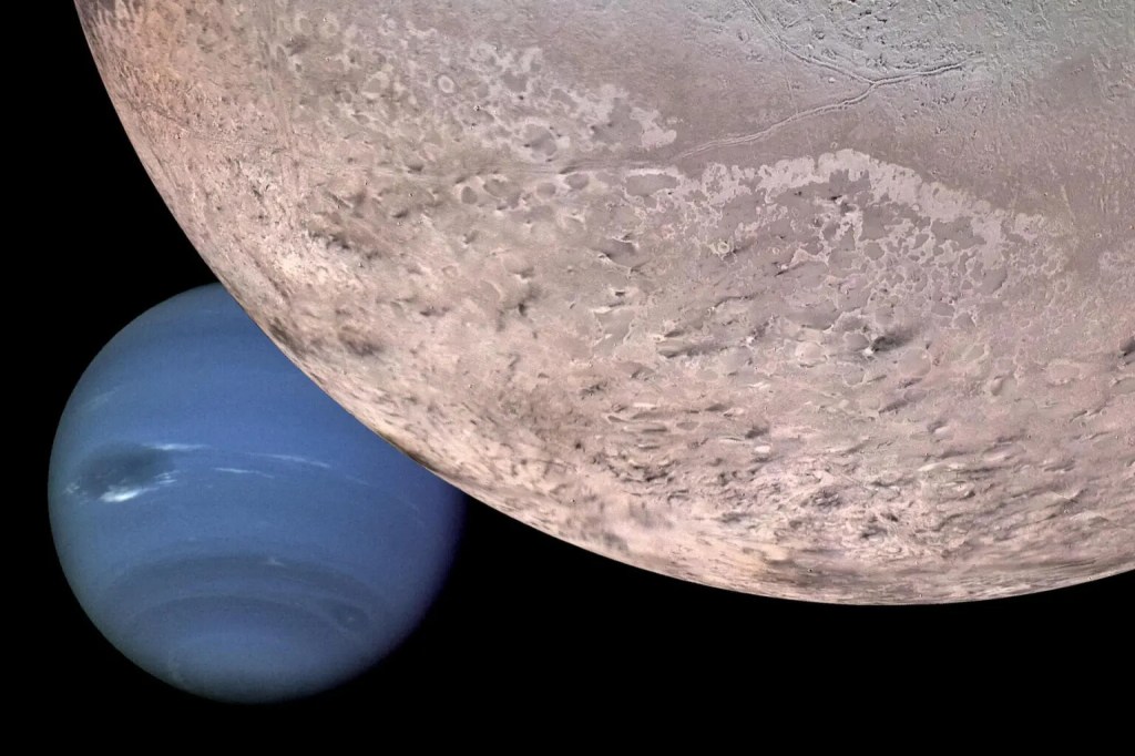 This computer-generated montage created from images obtained by NASA Voyager 2 shows Neptune as it would appear from a spacecraft approaching Triton, Neptune largest moon at 2706 km 1683 mi in diameter.