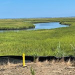 Image of a creek and Construction Debris Landfill well at NASA Langley.