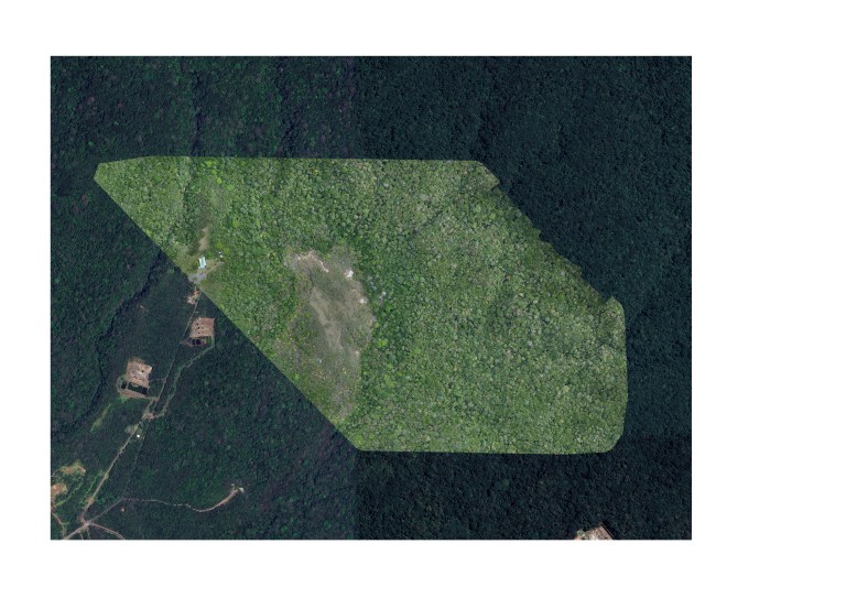 A map of a dark green forest has a light green textured diamond in the middle.