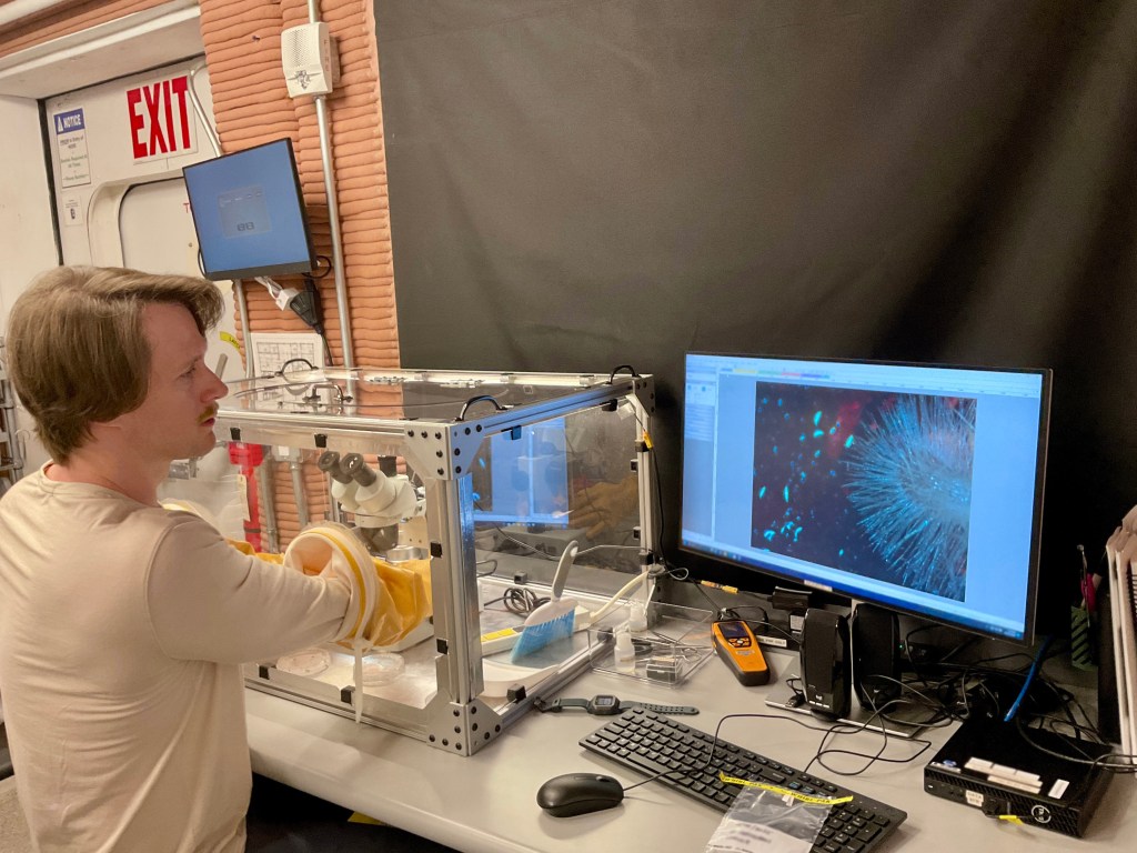 Crew Health and PerCHAPEA mission 2 science officer, Matthew Montgomery, evaluating a science experiment involving seed germination in the glovebox.