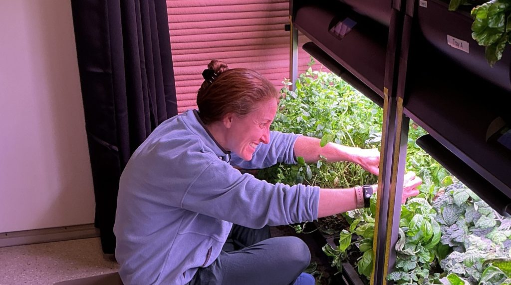 Ellen Ellis, Crew Health and Performance Exploration Analog (CHAPEA) Mission 2 medical officer, trims plants to promote growth in the habitat's hydroponic crop system.