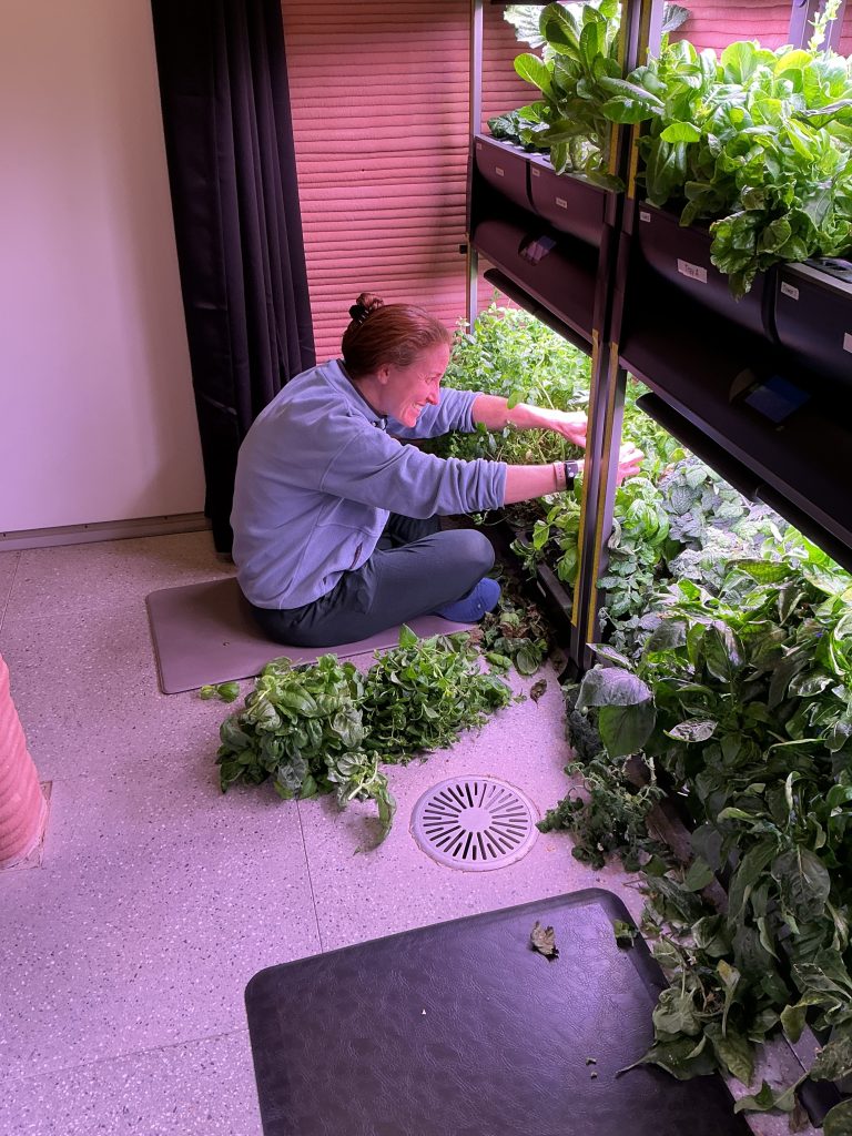 Ellen Ellis, Crew Health and Performance Exploration Analog (CHAPEA) Mission 2 medical officer, trims plants to promote growth in the habitat's hydroponic crop system.