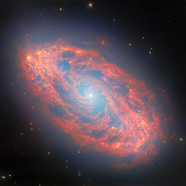 A spiral galaxy, seen tilted diagonally. It has a blue-white, glowing spot at its core. Its oval-shaped disc glows faintly blue throughout with light from its many stars. The disc is filled with waves and strands of bright red dust that swirl around the core. At places there are holes torn in the dust, while elsewhere it forms dense clumps that glow orange. Several tiny, distant galaxies appear across the background.