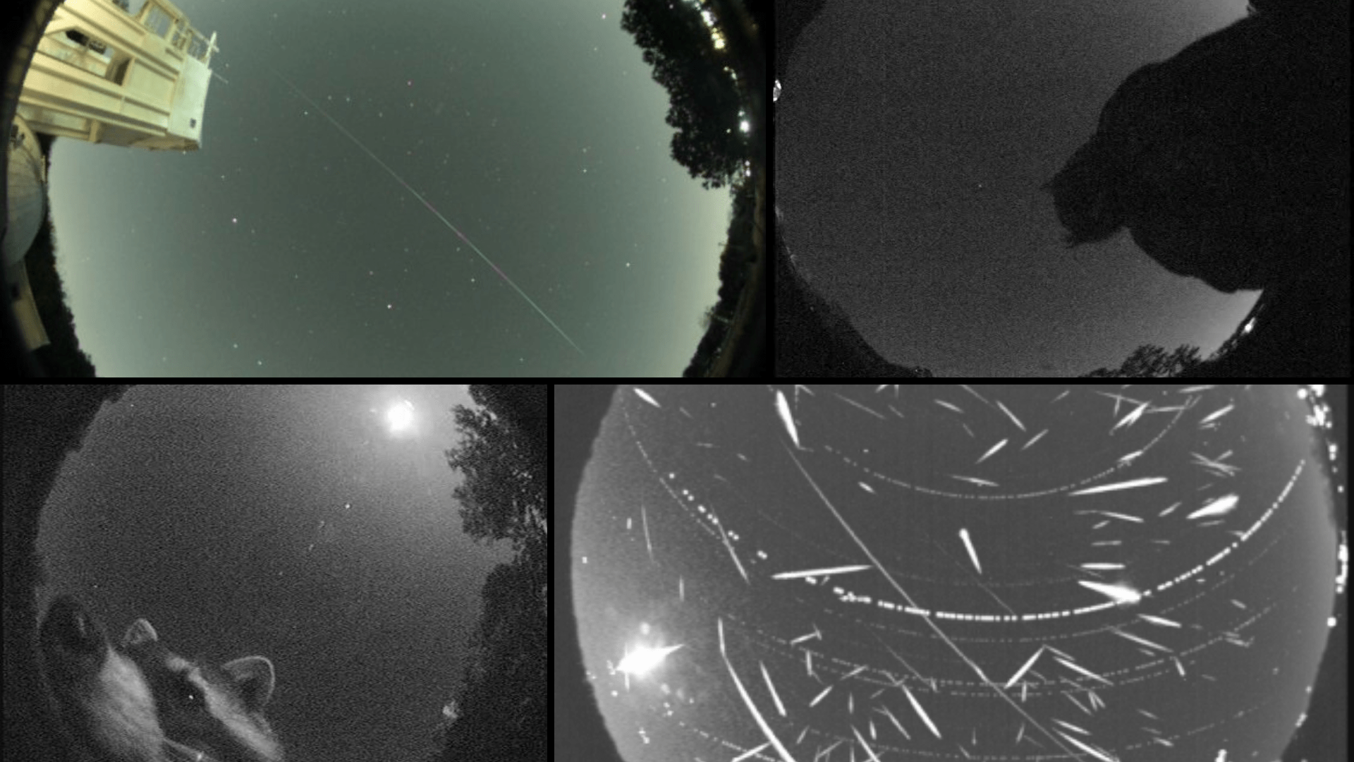 This collage features four images taken from various NASA All Sky Fireball Network cameras throughout the years. The top left image shows a meteor with a green tail streaking across the sky on January 3, 2012. In the top right is an image of an owl looking into the camera. This image is nicknamed “I am Batman” by the Meteor Environment Observation team at NASA Marshall. In the bottom left is another “critter cam” image of a curious racoon inspecting the meteor camera. At bottom right is a composite image of the skies over NASA Marshall during the peak of the 2012 Geminid meteor shower.