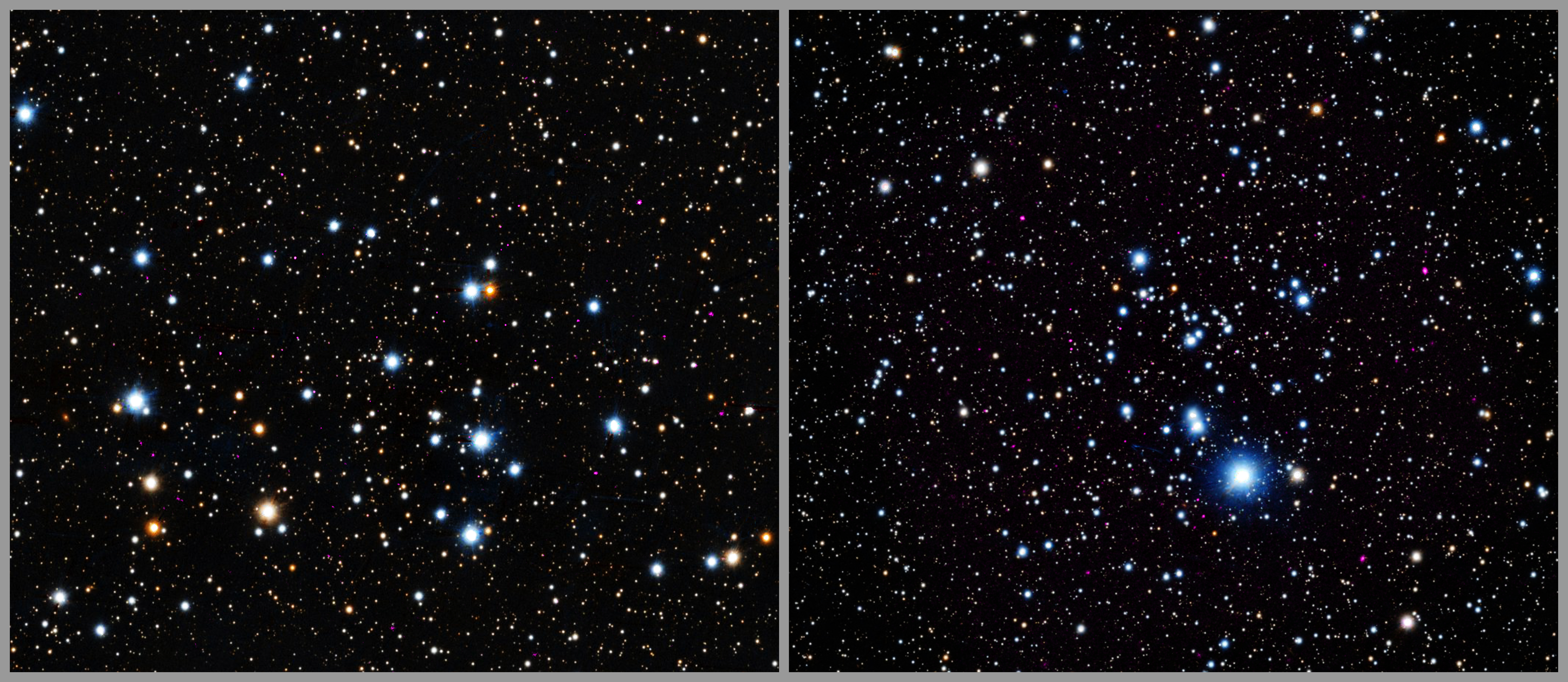 The images of Trumpler 3 and NGC 2353 are open clusters that contains hundreds of young stars that are gravitationally bound together because they formed from the same gas cloud. In this composite image of the clusters, X-rays from Chandra (purple) have been combined with an optical image from the PanSTARRS telescope in Hawaii (red, green, and blue). The stars look like fuzzy dots of different sizes dotting the darkness of space.