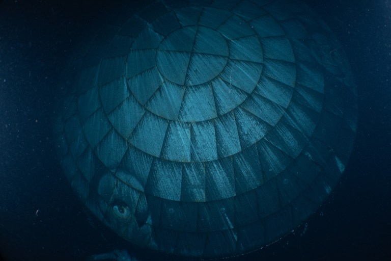 heatshield.jpg?resize=768,512