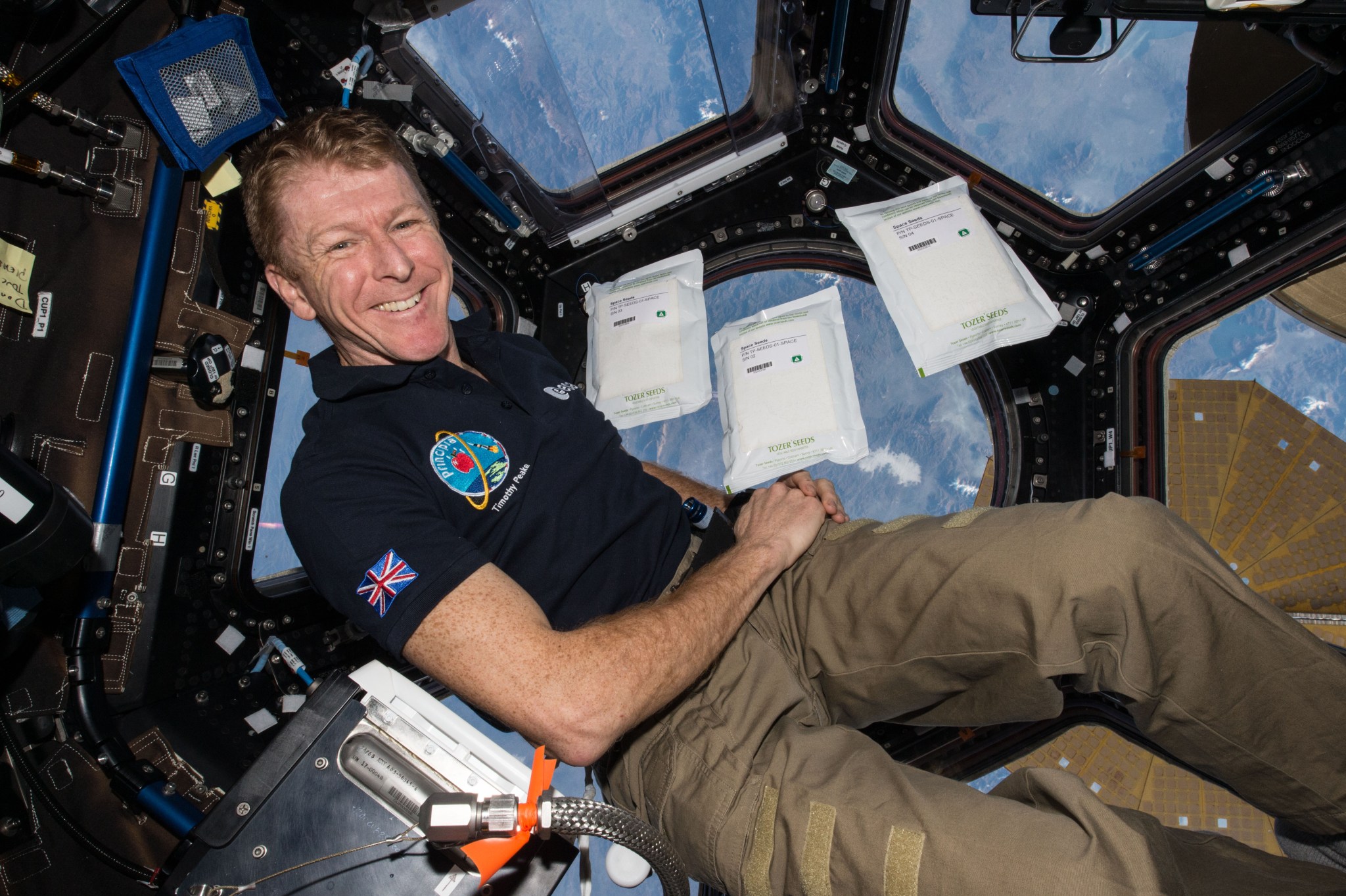 ESA astronaut Peake floats inside the space station cupola, with the windows showing Earth below. He is smiling at the camera, wearing a dark polo shirt with mission patches and khaki pants, with several white sealed bags containing seeds floating next to him.