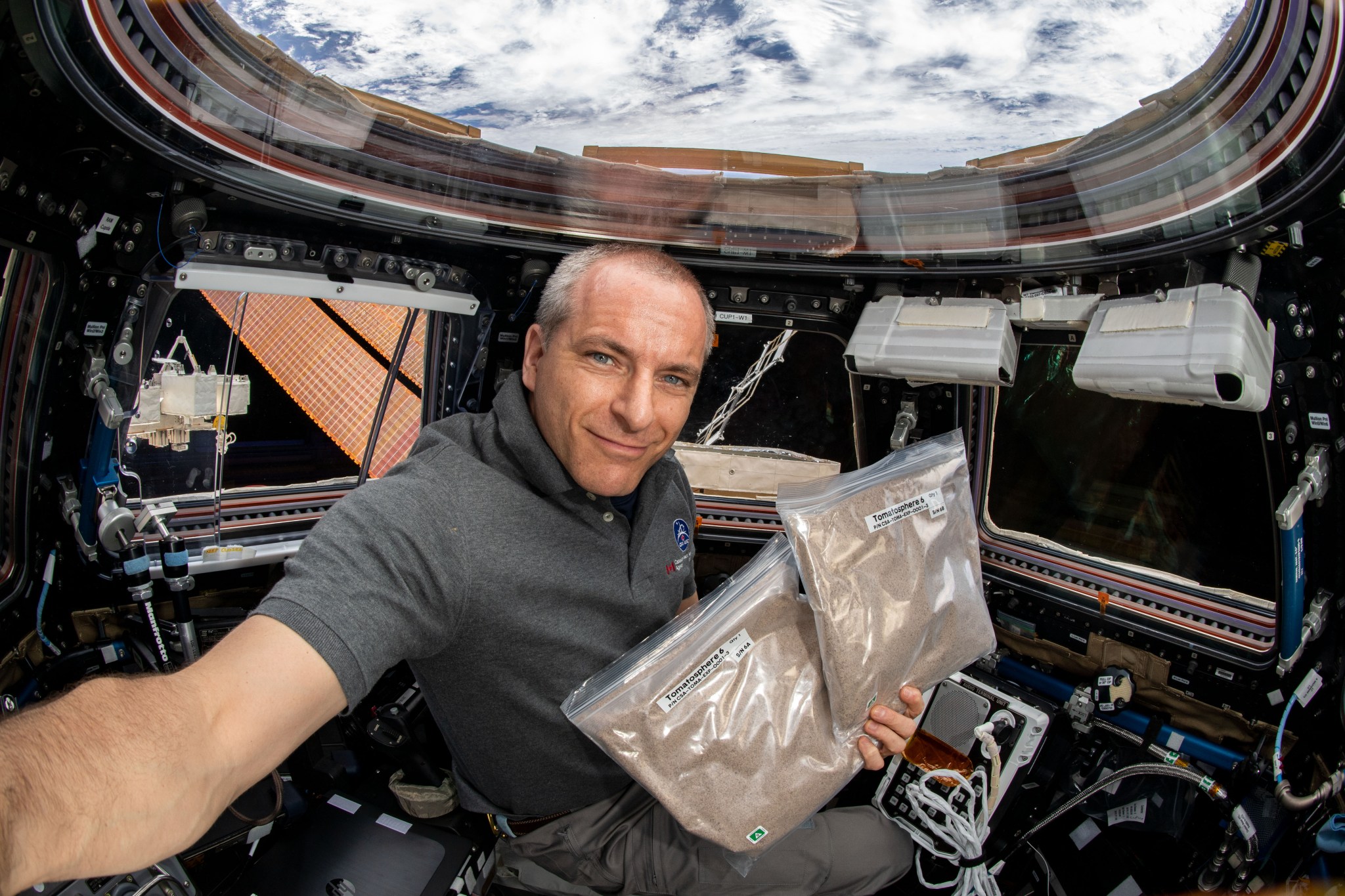 CSA astronaut David Sain-Jacques is pictured inside the space station cupola with curved windows showing Earth. He holds two sealed bags containing tomato seeds, wearing a gray polo shirt and looks directly at the camera while surrounded by equipment mounted around the windows.