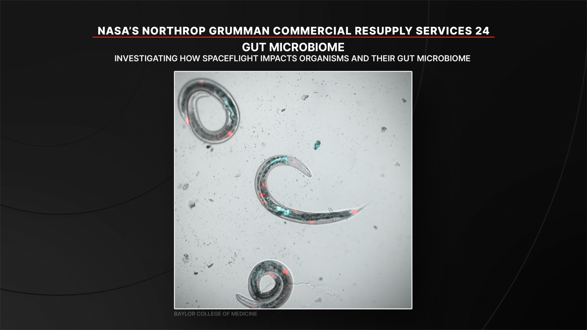 A study (CBIOMES) of how spaceflight impacts the relationship between organisms and their gut microbiome. Researchers will observe changes in roundworms down to the cellular level to identify ways to maintain microbiome stability and help protect astronaut health on future Moon and Mars missions.