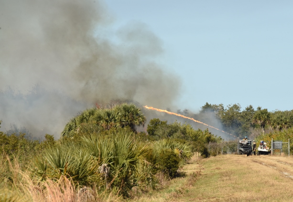 A stream of ignited fuel sprays from a piece of equipment toward dense vegetation, sending flames into the brush as thick gray smoke rises into the sky. In the foreground, tall grasses and palmettos line a dirt path, while two off‑road firefighting vehicles are parked on the right side of the scene.