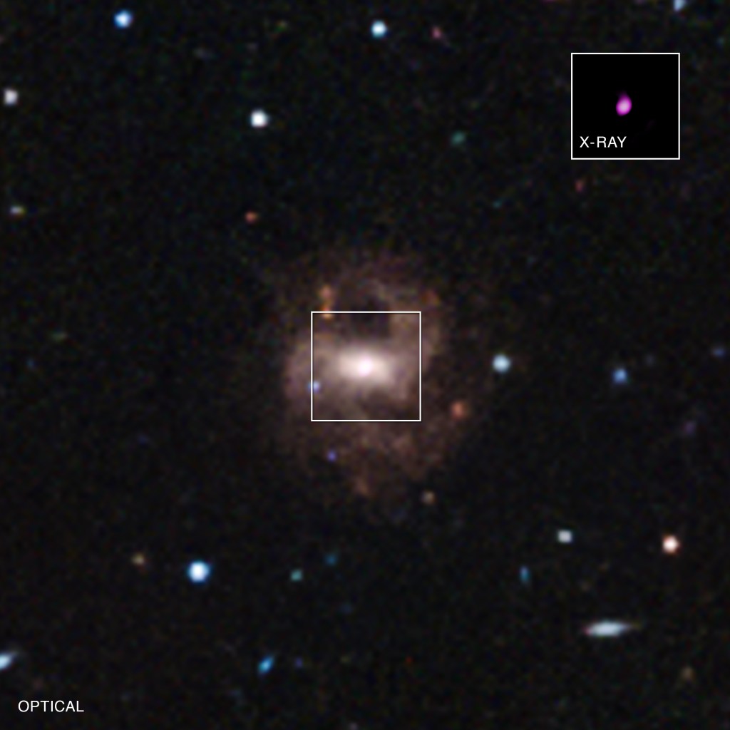 Oxymoronic Black Hole Provides Clues to Growth