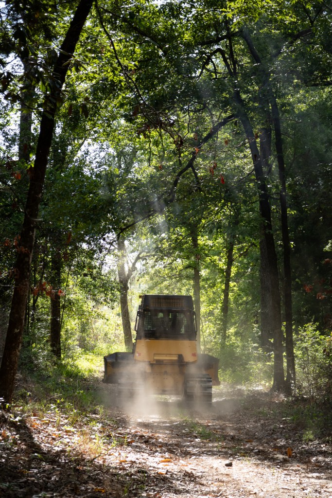 A yellow and black bulldozer drives down a dirt path in a forest of tall trees. Some of the dirt is kicked up behind the dozer, catching a beam of sun coming through the trees.