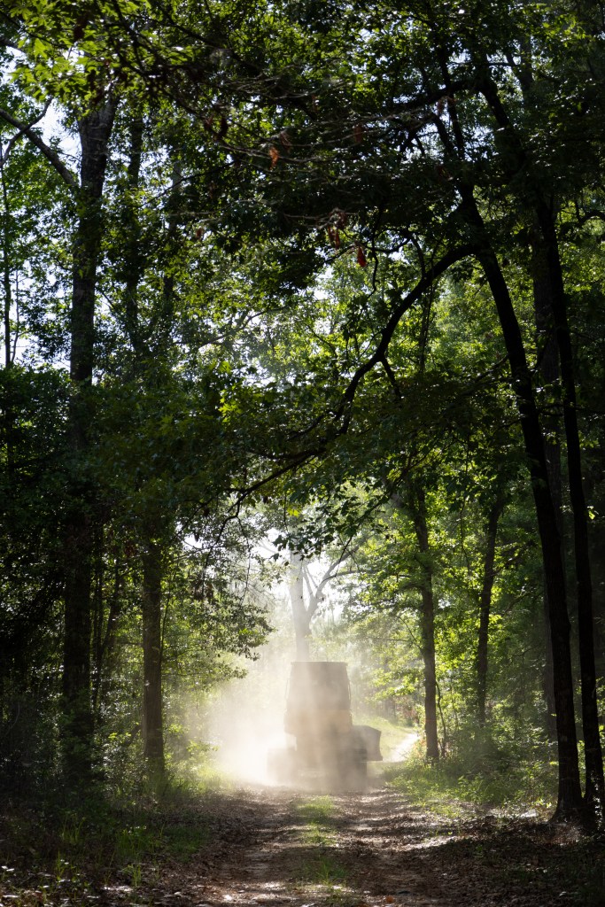 A yellow and black bulldozer drives down a dirt path in a forest of tall trees, mostly silhouetted against the light. Some of the dirt is kicked up behind the dozer, catching a beam of sun coming through the trees.