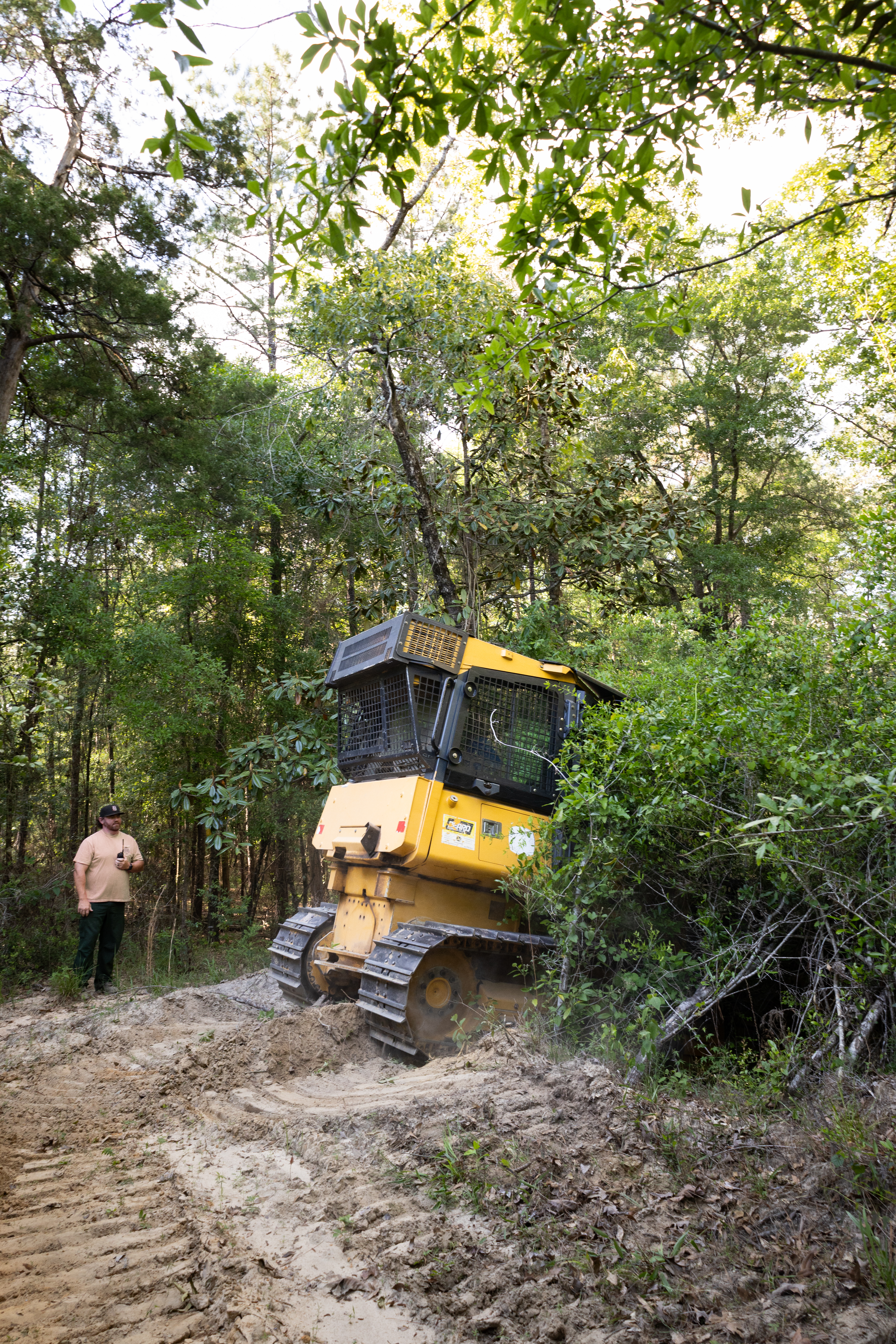 A yellow and black bulldozer climbs a small dirt hill in a forest of tall green trees, driving from the left of the frame to the right. Past the bulldozer, a man in a tan shirt and green pants stands in the trees, holding a radio.