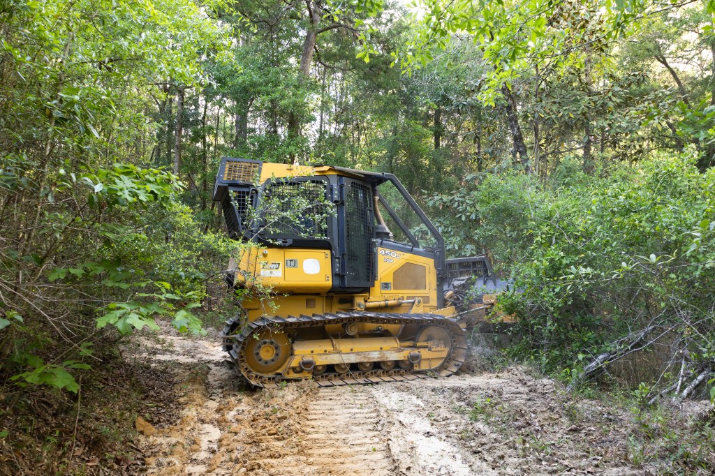 A black and yellow bulldozer sits on a dirt path, inside of a green forest. The dozer is facing from towards the right of the frame.