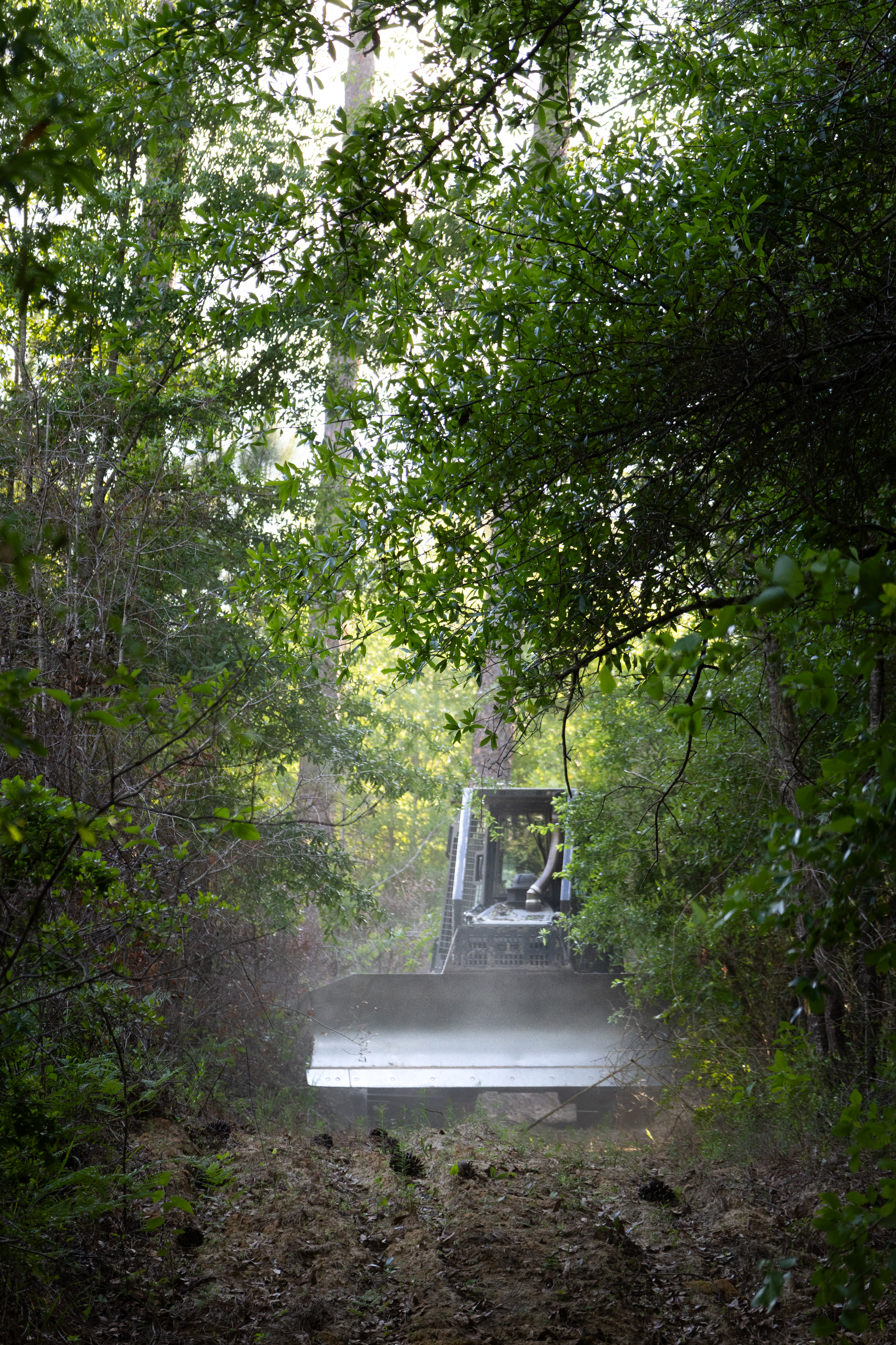 A bulldozer drives along a dirt road toward the camera, surrounded by a bright green forest.