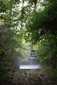 A bulldozer drives along a dirt road toward the camera, surrounded by a bright green forest.