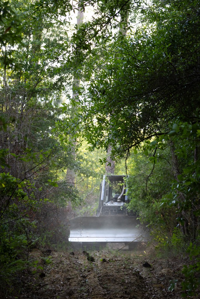 A bulldozer drives along a dirt road toward the camera, surrounded by a bright green forest.