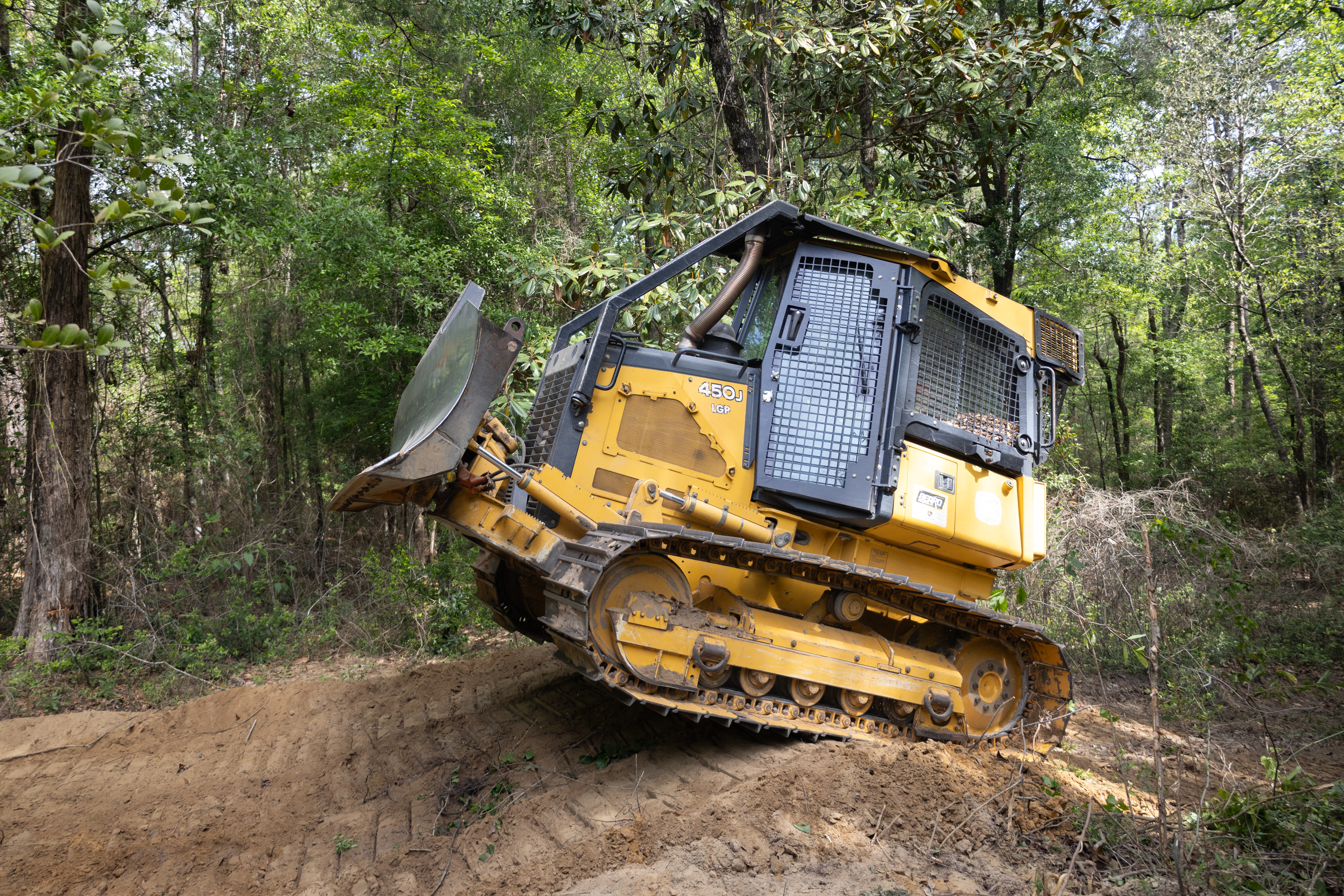 A yellow and black bulldozer climbs a small dirt hill in a forest of tall green trees, driving from the left of the frame to the right.