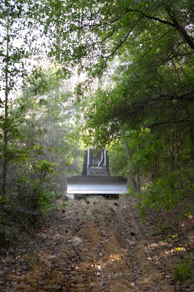 A bulldozer drives along a dirt road toward the camera, surrounded by a bright green forest.