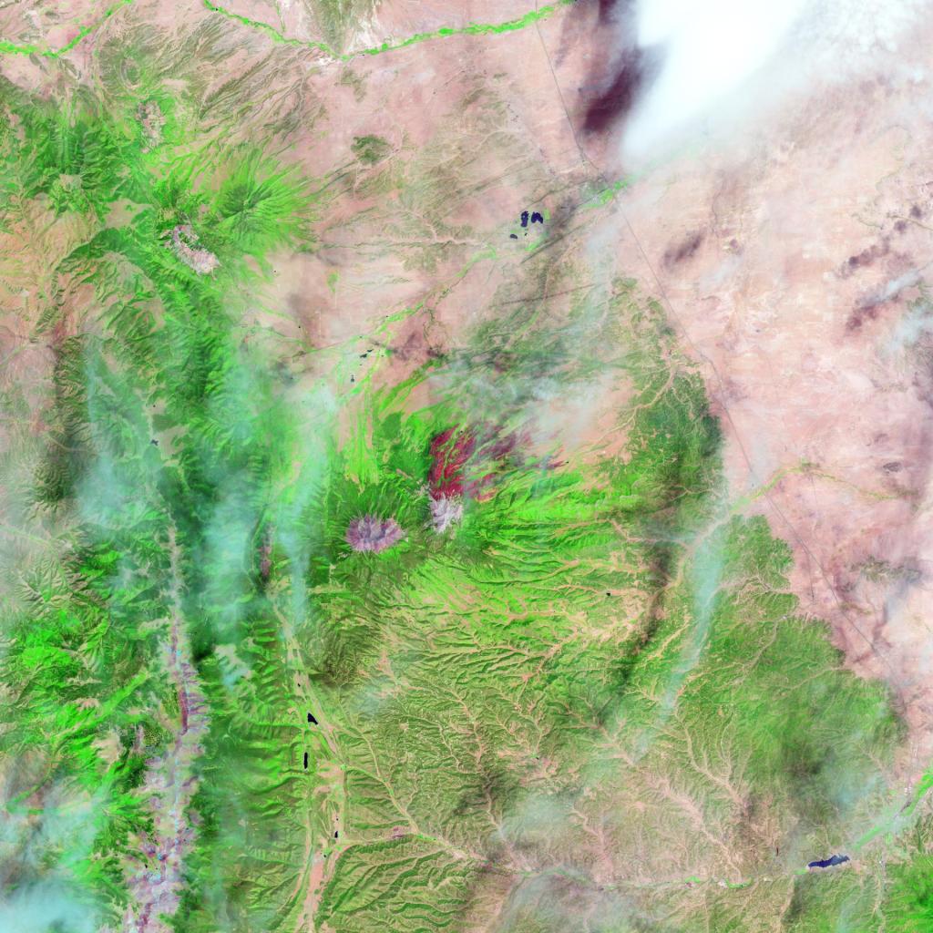 On June 22, 2013, the Operational Land Imager (OLI) on Landsat 8 captured this false-color image of the East Peak fire burning in southern Colorado near Trinidad. Burned areas appear dark red, while actively burning areas look orange. Dark green areas are forests; light green areas are grasslands. Data from Landsat 8 were used to train the Prithvi artificial intelligence model, which can help detect burn scars.