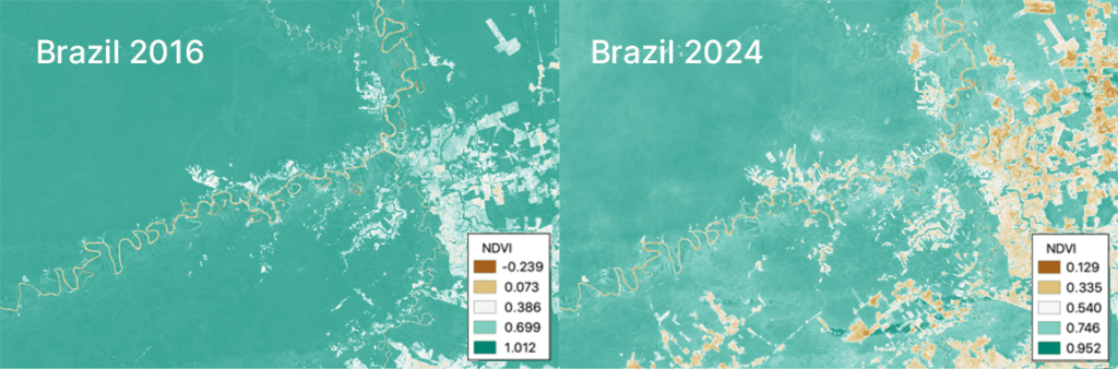 This side-by-side view of Normalized Difference Vegetation Index (NDVI) images depict land use change in a region in Western Brazil between 2016 and 2024. High NDVI values in green indicate healthy vegetation and lower NDVI values in tan and brown correspond to soil or barren areas.