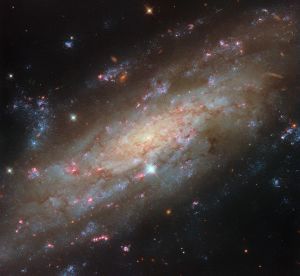 A close view of spiral galaxy that is tilted at an angle, so that its disk fills the view from corner to corner. Its disk is yellow near to the center and pale blue farther out, showing cooler and hotter stars, respectively. Thin brown clouds of dust, glowing pink spots of star formation, and sparkling blue patches filled with star clusters swirl through the galaxy. Behind it, small orange dots are very distant galaxies.