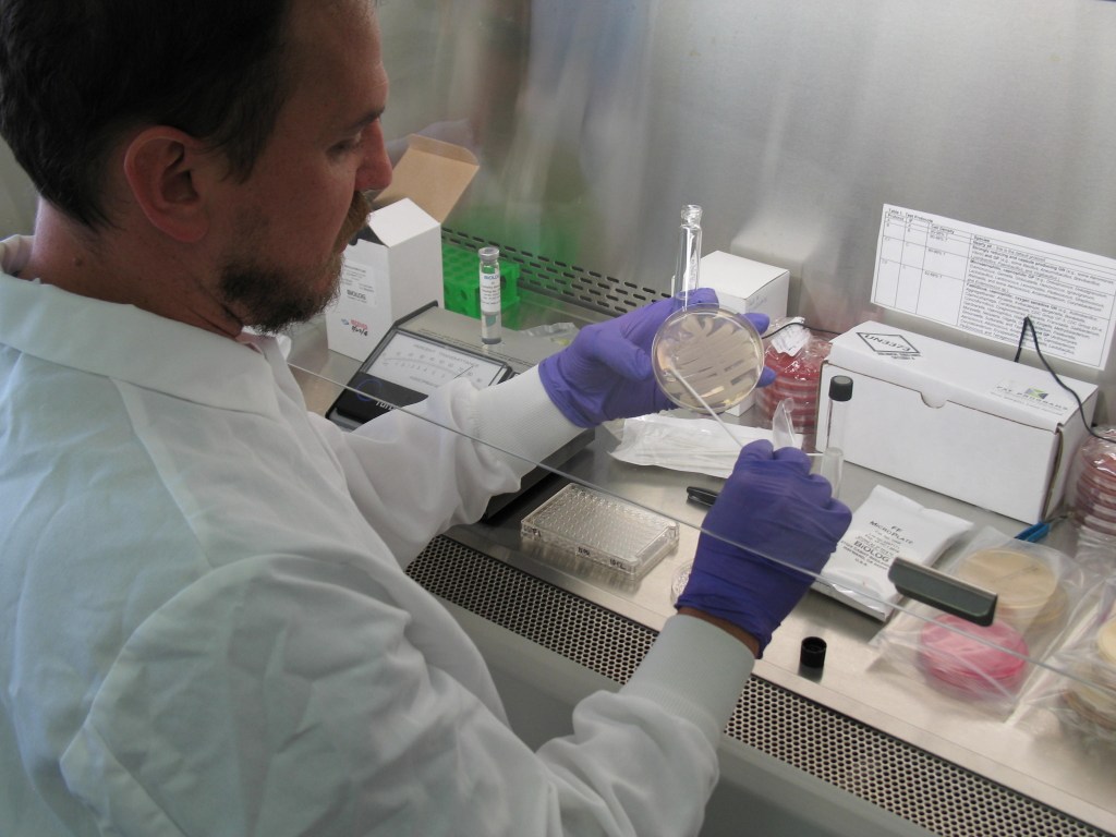 Environmental Microbiology Laboratory working bench